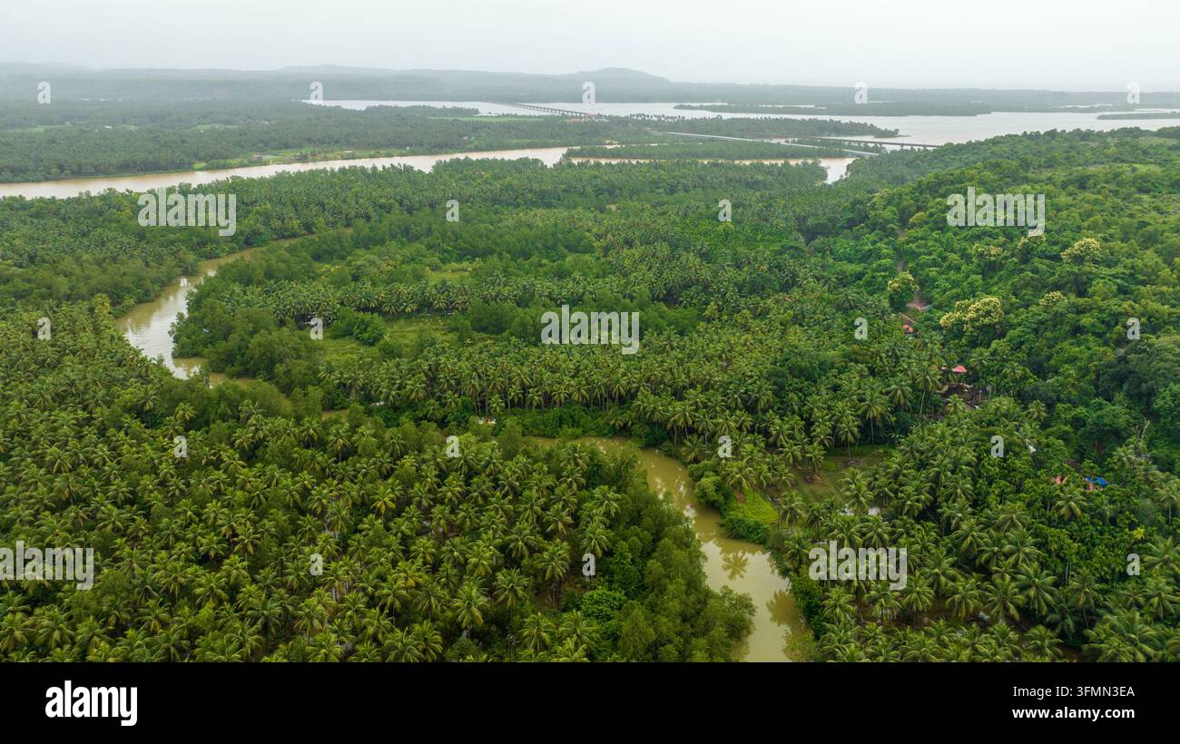 Aerial view of the Sharavathi river winding through lush green palm ...