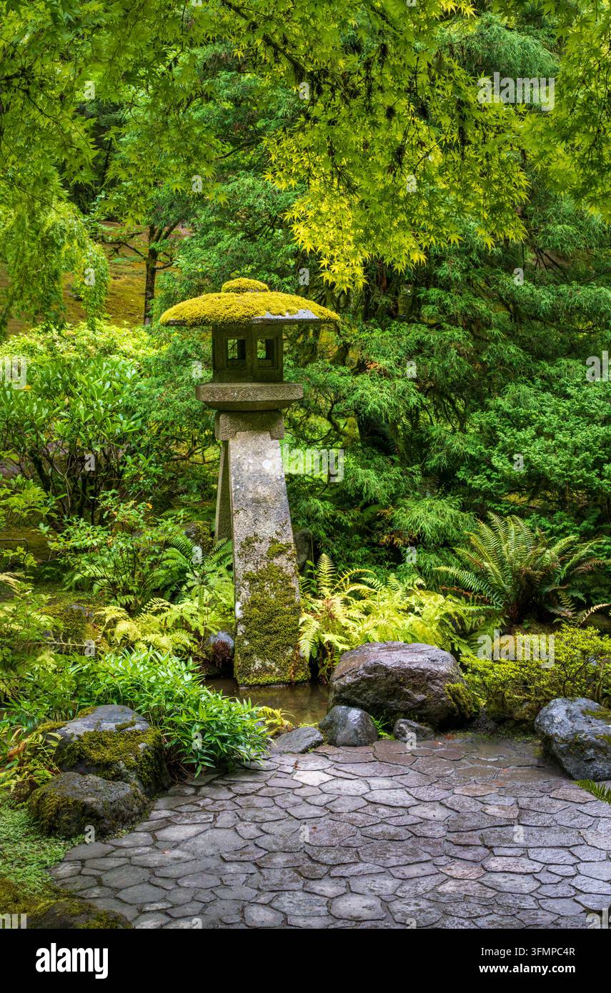 a-traditional-stone-lantern-stands-among-lush-ferns-and-trees-beside-a