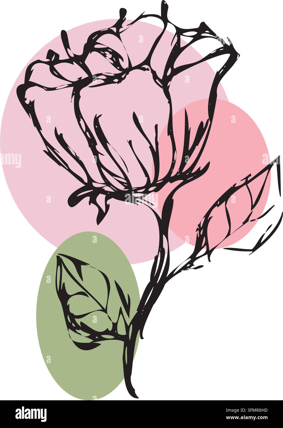 Hand Drawn Rose with Pastel Circles Stock Vector Image & Art - Alamy