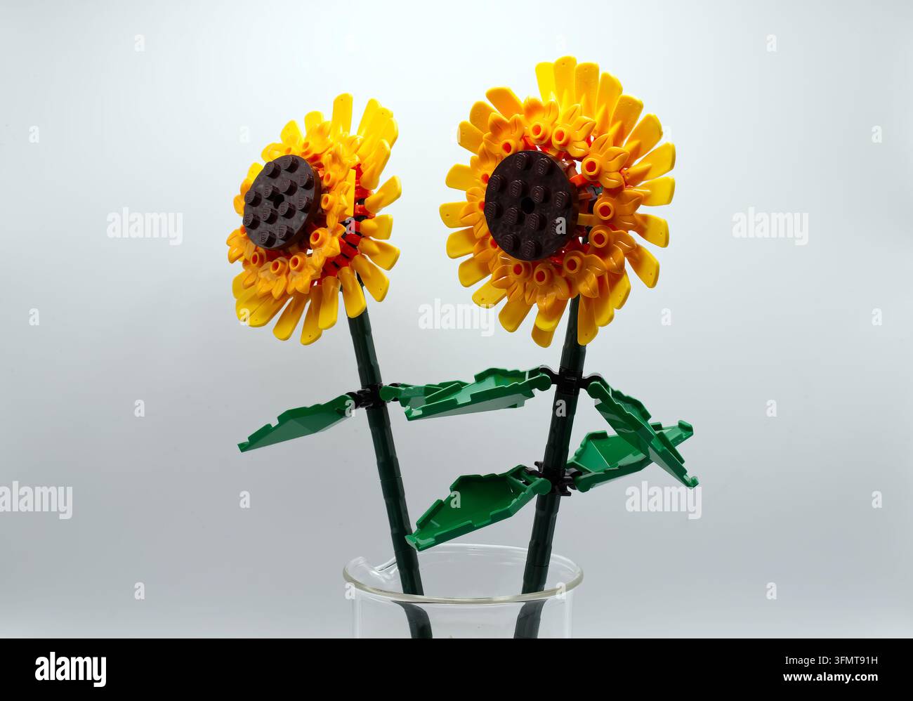 Lego sunflowers built from plastic construction bricks isolated on white background. Stock Photo