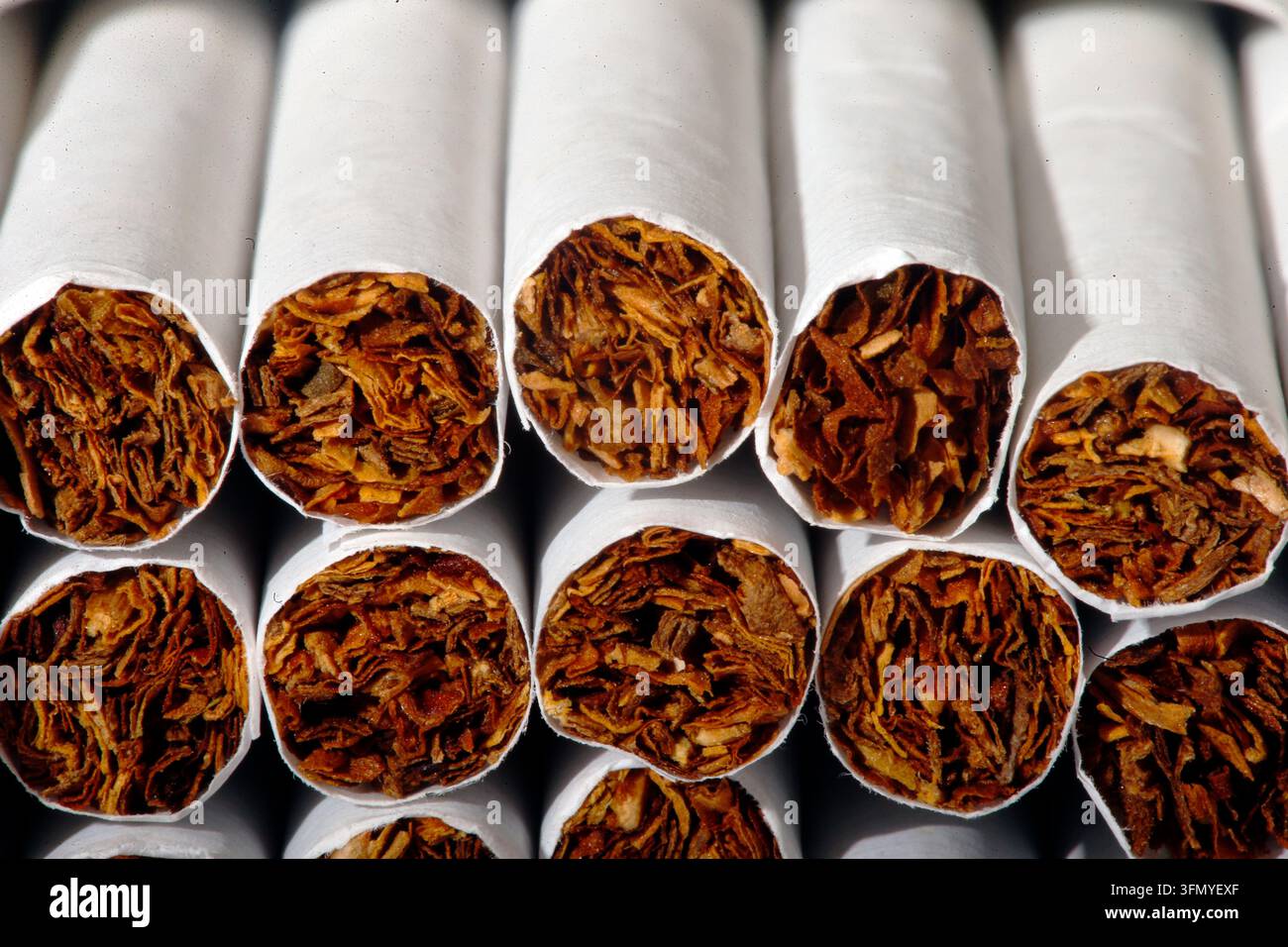 FILE - This Tuesday, July 15, 2014 photo shows the tobacco in ...