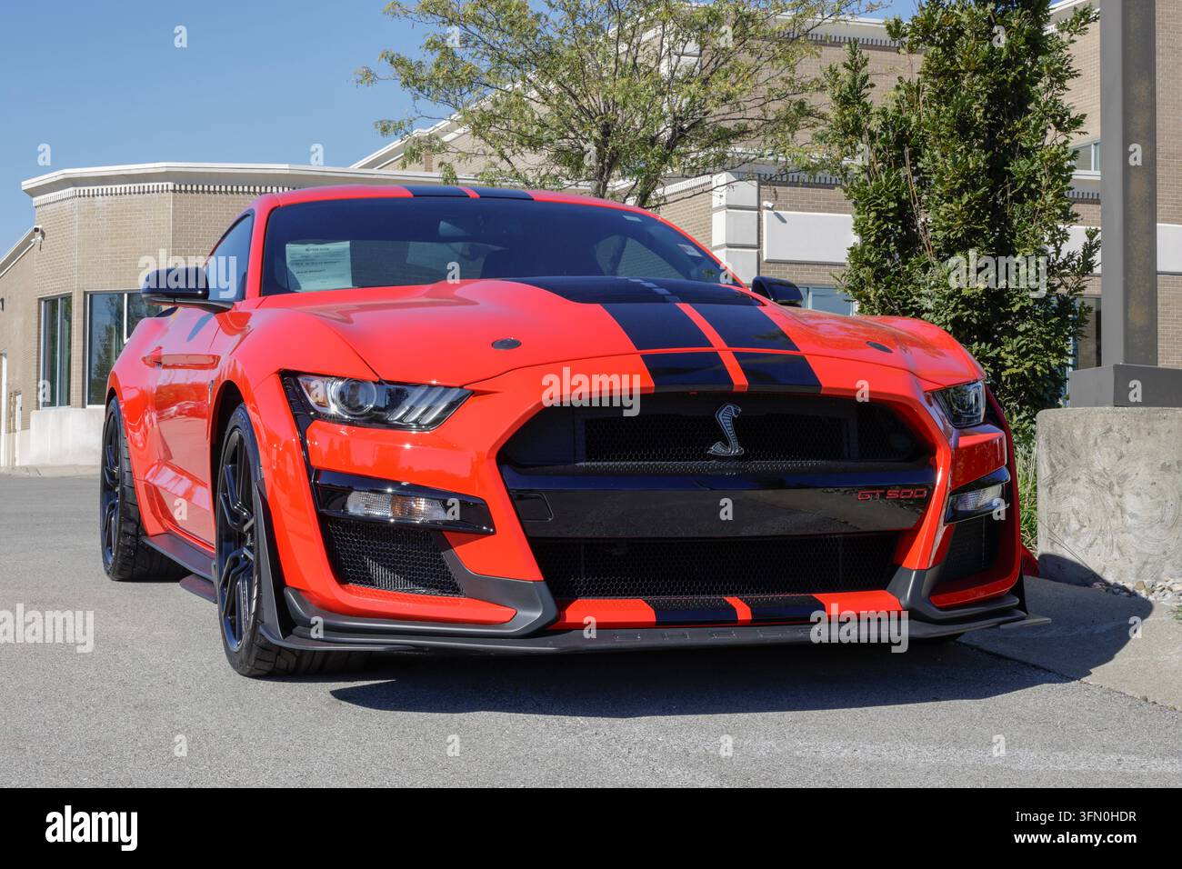 Ford mustang fastback ecoboost hi-res stock photography and images - Alamy