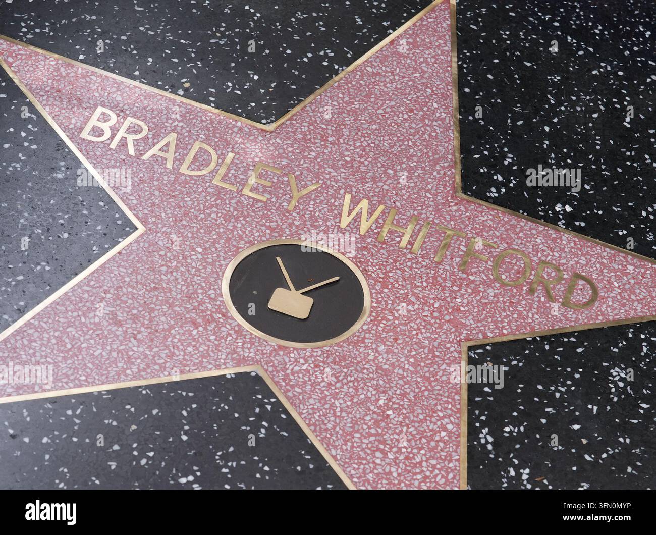 Bradley Whitford Honored With a Star On The Hollywood Walk Of Fame ...