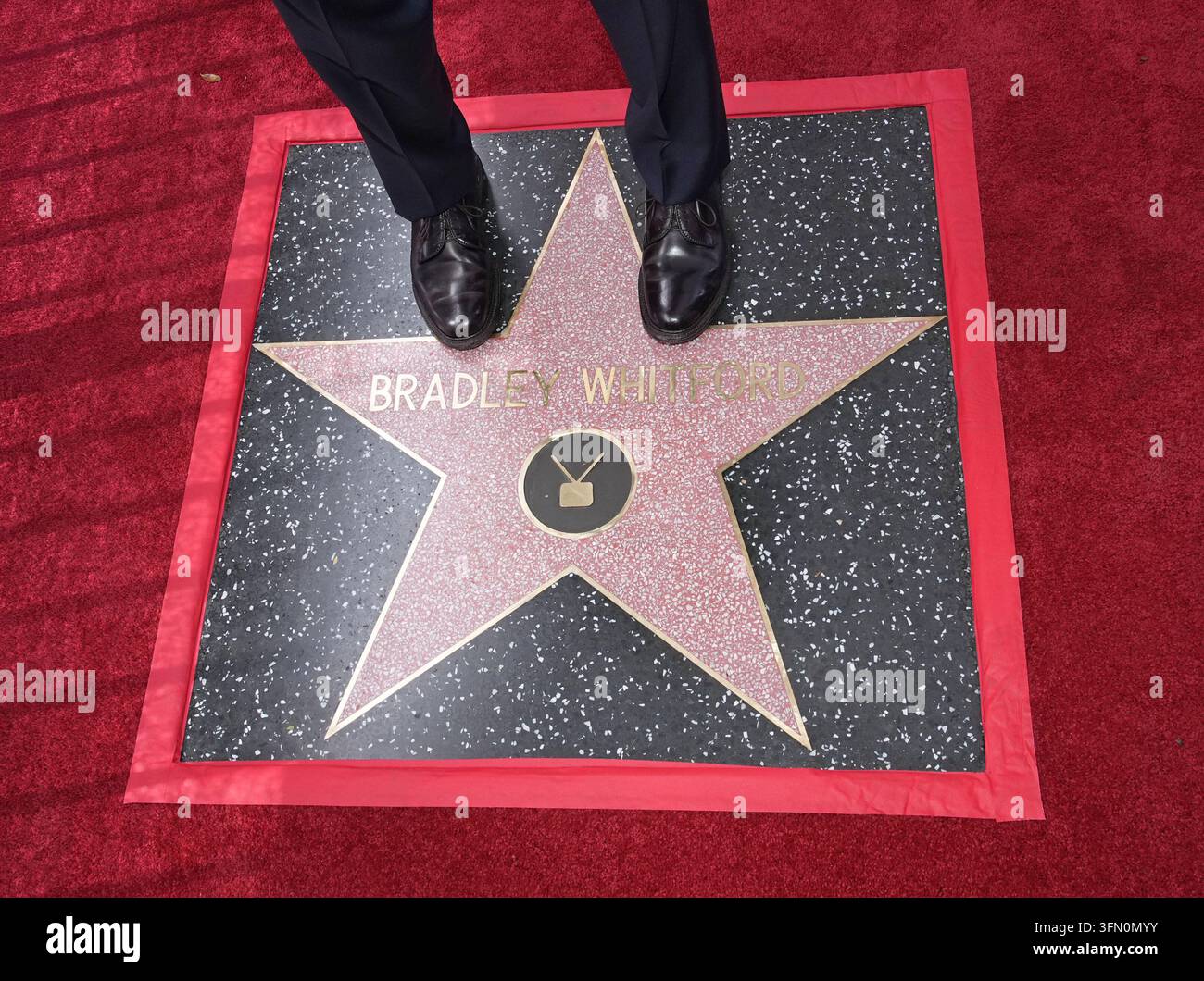 Bradley Whitford Honored With a Star On The Hollywood Walk Of Fame ...