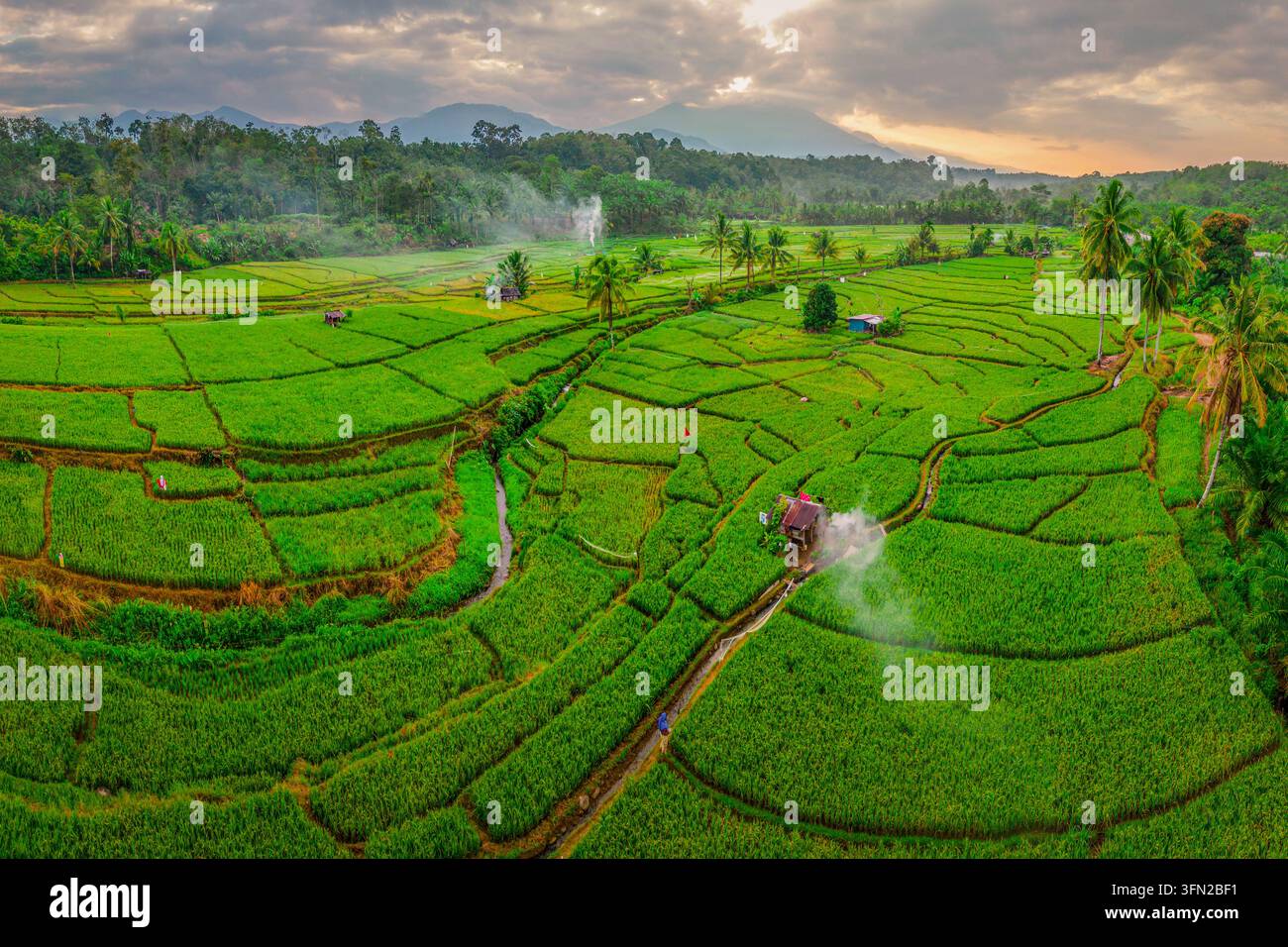 Aerial View of Green Rice Terraces in Rural Indonesia Stock Photo - Alamy