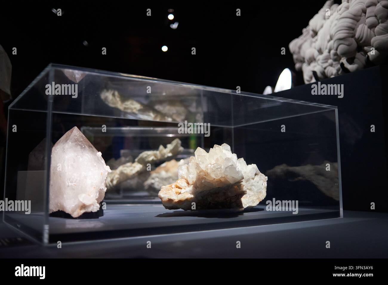 The National Museum of Toulouse opens its new exhibition on minerals ...