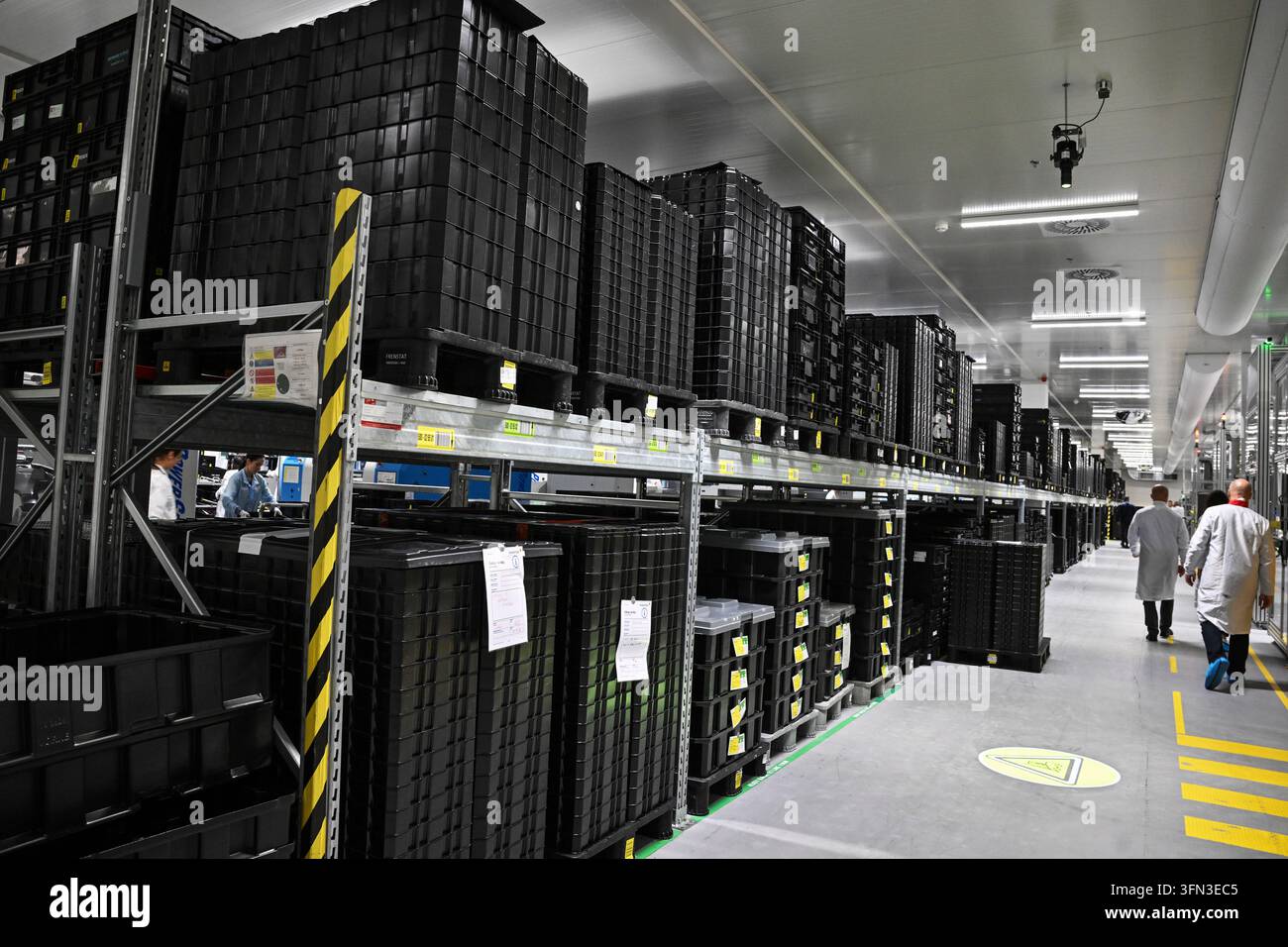 Presentation of the project "Launch of Production of an Integrated ...