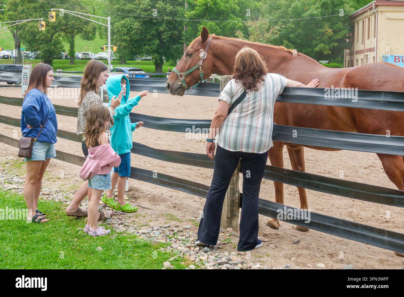 Halifax Nova Scotia Canada,Halifax Lancers,1690 Bell Road,urban riding school,equine therapy centre,chestnut horse,white adult women,white children,gi Stock Photo