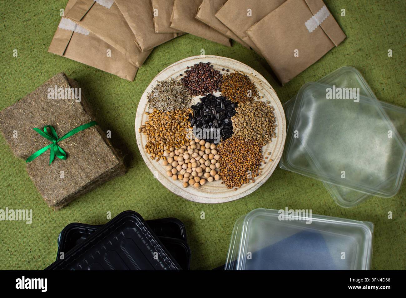 Microgreens growing kit with seeds scattered on a wooden stand. Complete home microgreens growing kit is displayed as flat lay on textured green fabri Stock Photo