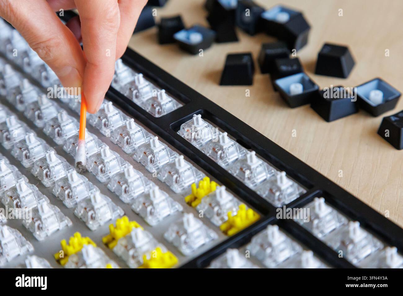 Close-up hand removing visible dust, dirt from disassembled computer keyboard, detailed cleaning between switches, computer hygiene, preventive mainte Stock Photo
