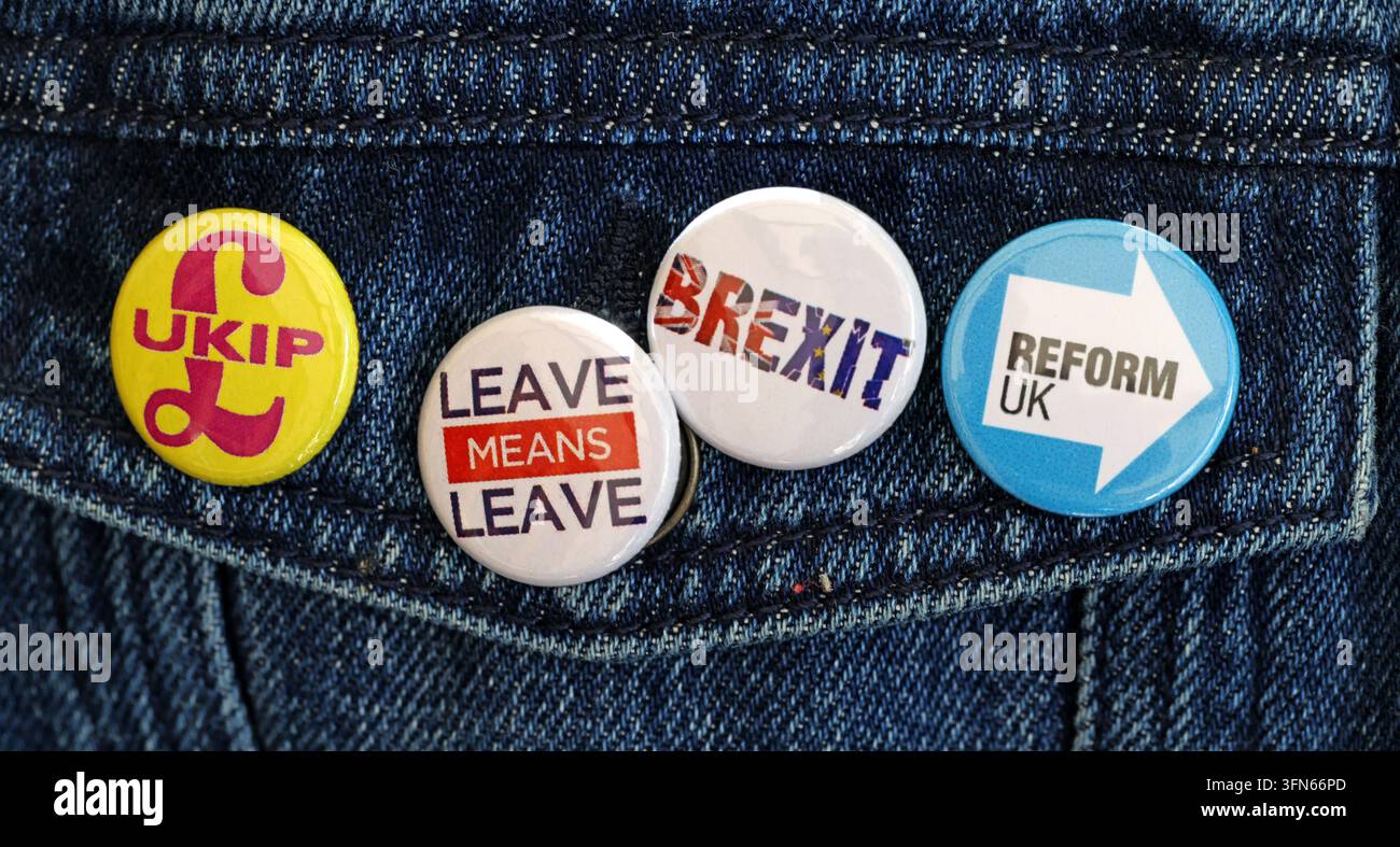UKIP, Reform UK, Brexit and Leave Means Leave badges pinned to denim, showing British Eurosceptic political memorabilia. Stock Photo