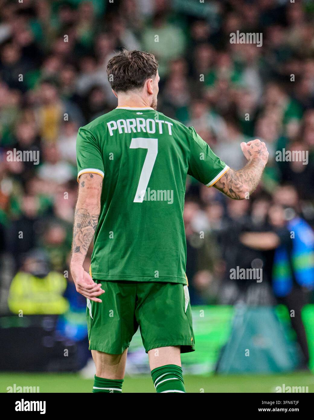 Ireland-Austria Match Interrupted by Pro-Palestinian Protests Ireland-Austria Match Interrupted by Pro-Palestinian Protests