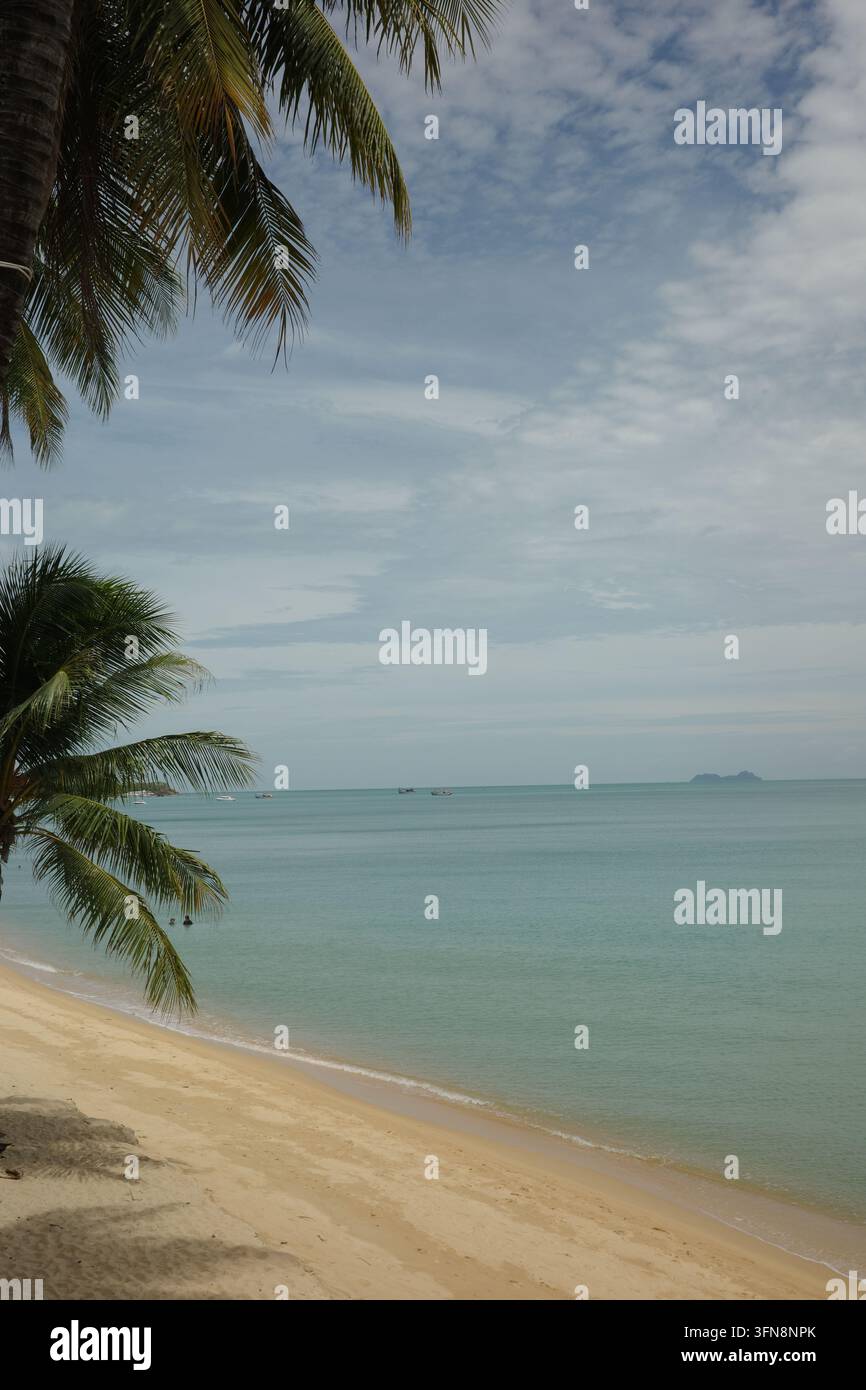 Tropical beach scene with palm trees hi-res stock photography and ...