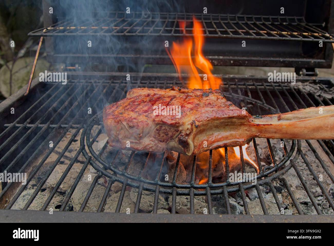 A thick, premium tomahawk ribeye steak searing over open flames and hot charcoal on an outdoor barbecue grill with smoke rising. Stock Photo