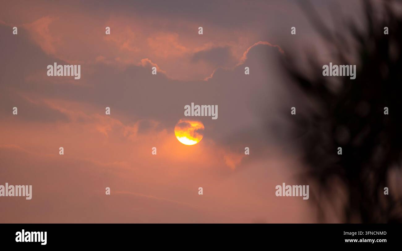 Dramatic Sunset Behind Dark Leaves With Cloudy Sky Stock Photo