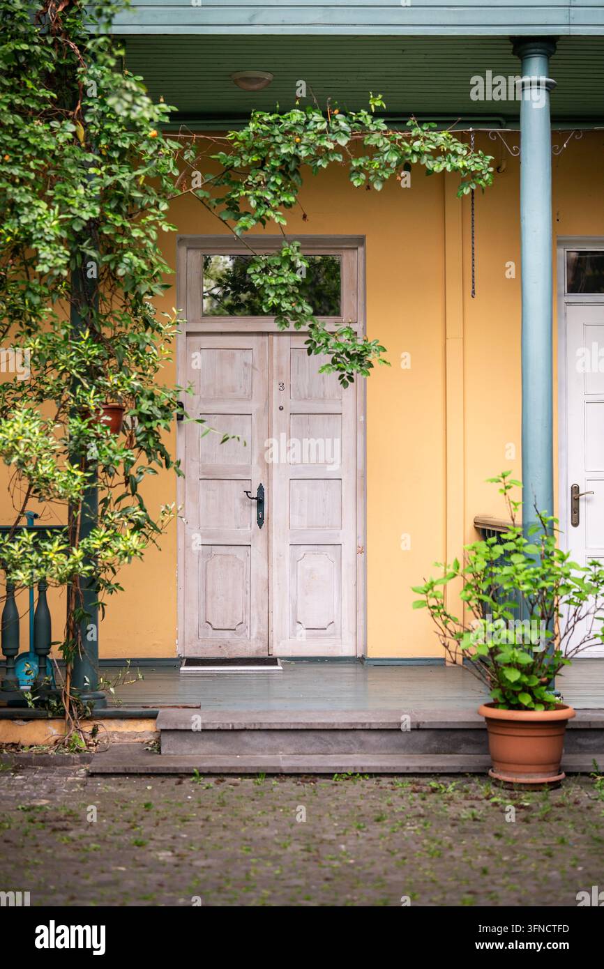Wooden door framed by warm ochre facade, green veranda column and lush climbing foliage in Tbilisi Stock Photo
