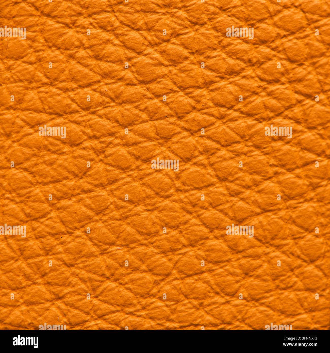 Detailed macro shot of a rich bright orange leather surface featuring a distinct grainy pebble texture and tactile tumbled pattern with soft dimension Stock Photo