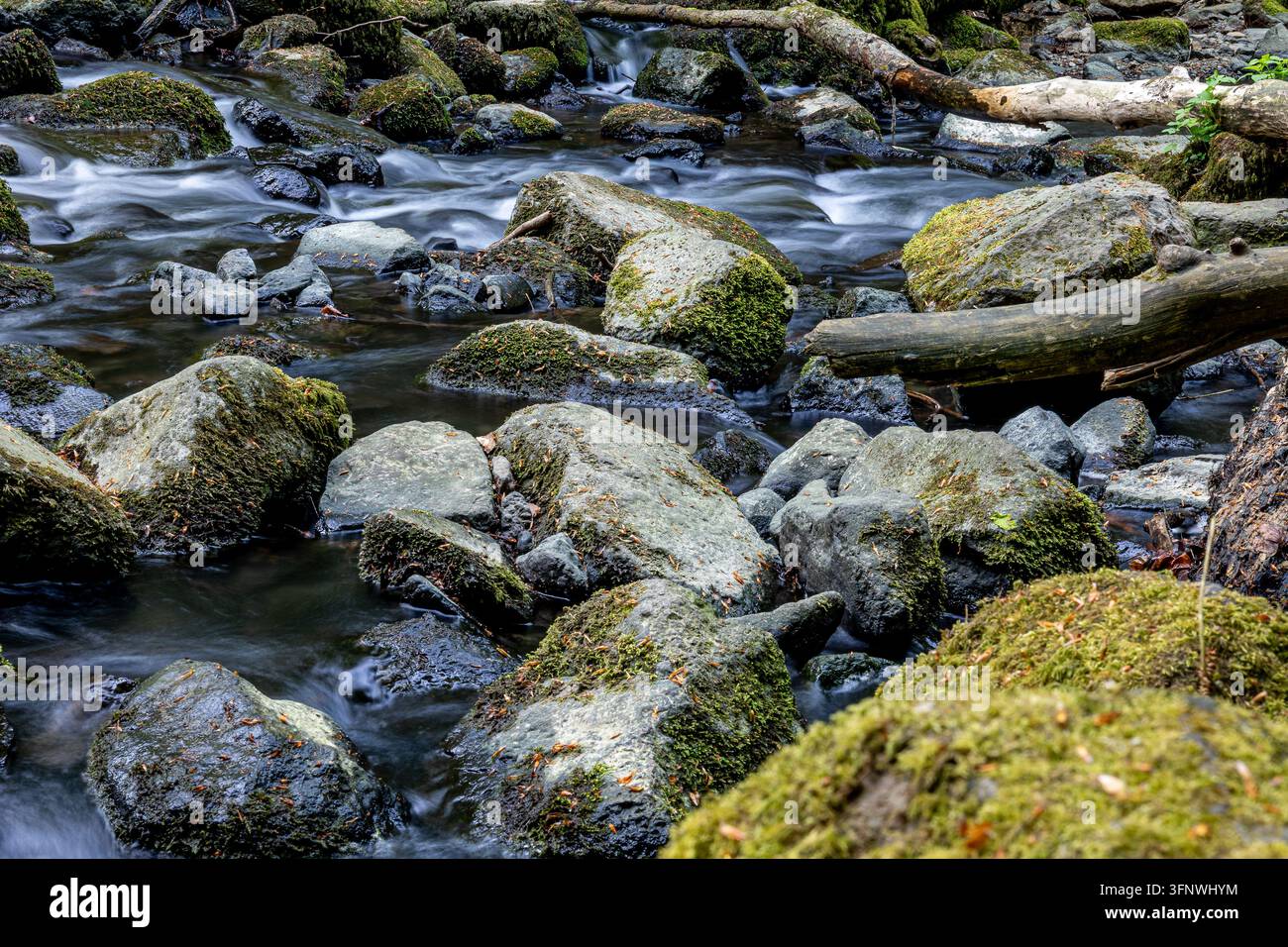 Mountain Rocks Strream Mountain stream flowing over moss covered rocks and fallen logs ...