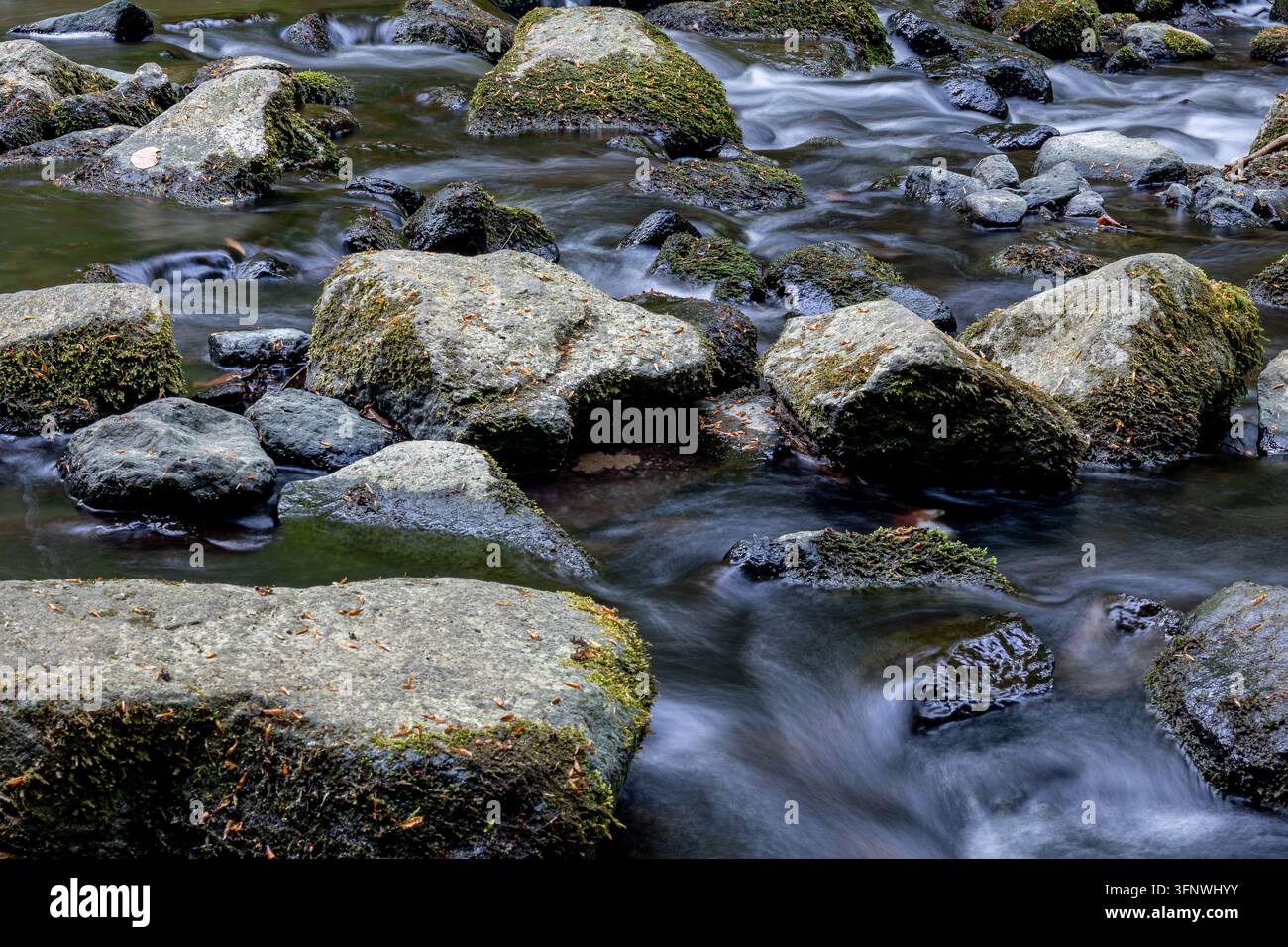 Mountain Rocks Strream Mountain stream flowing over moss covered rocks and fallen logs ...