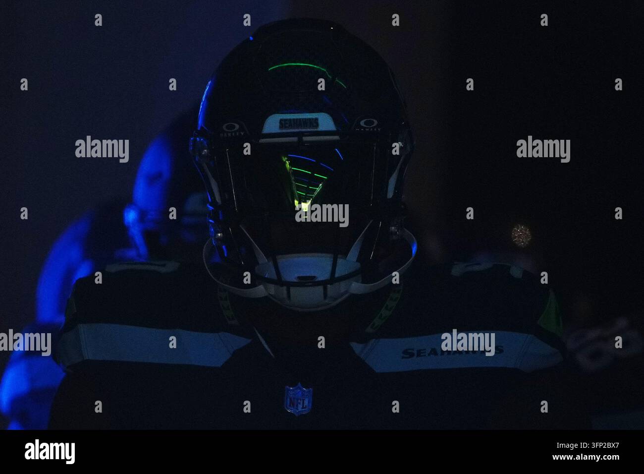 Seattle Seahawks nose tackle Jarran Reed walks through the tunnel ...