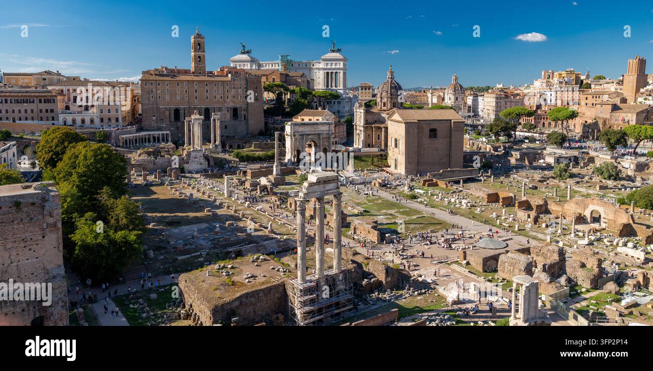 One Column Vector View of the Roman Forum with ancient ruins, columns, and arches under a ...
