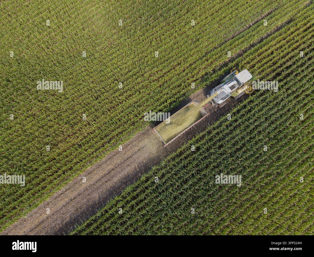 File Size Px Freedom, Wisconsin, United States - 04 September 2026: Aerial view of a ...