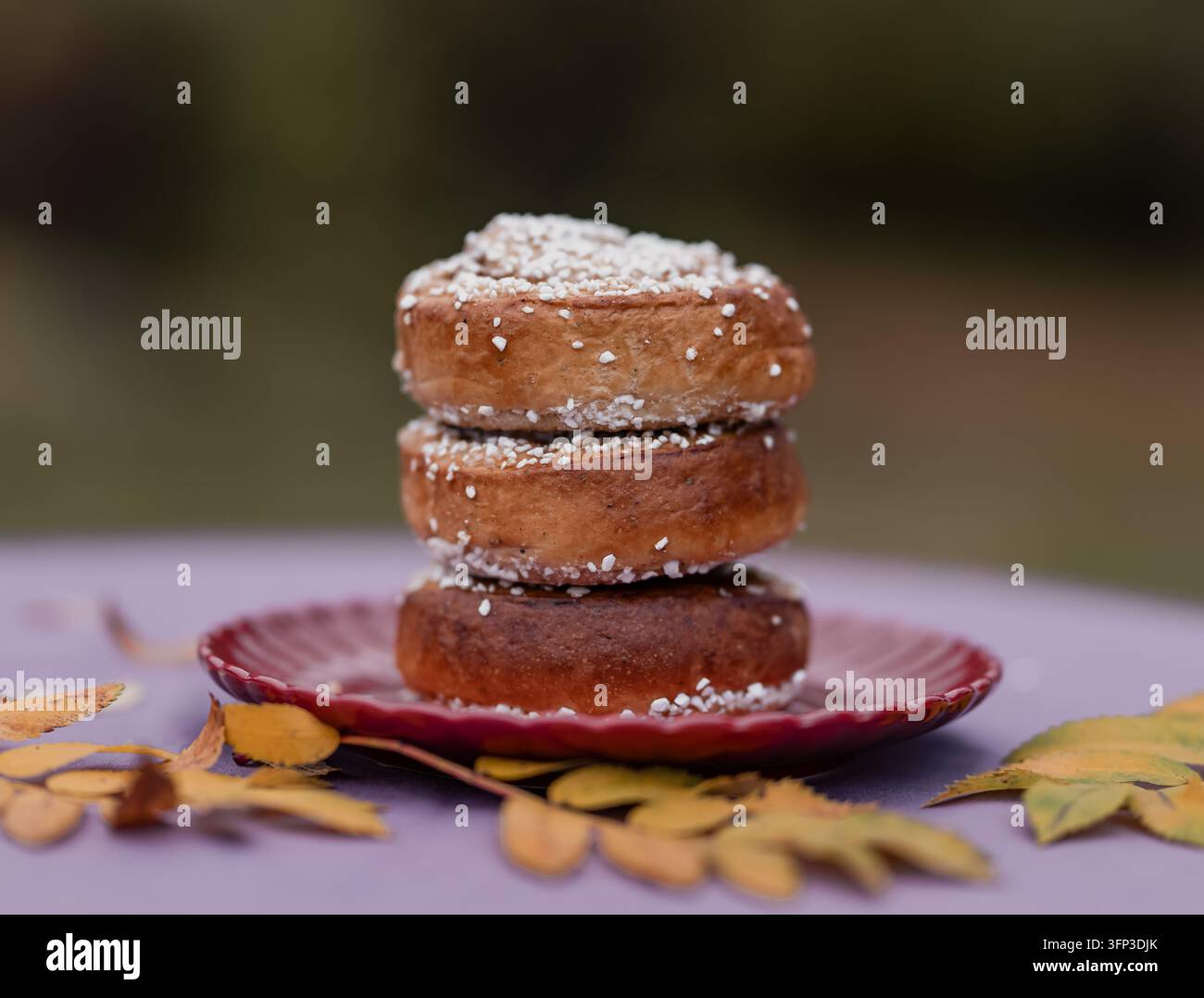 Three Swedish cinnamon buns topped with pearl sugar stacked on a red plate, surrounded by yellow autumn leaves against a softly blurred background. Stock Photo