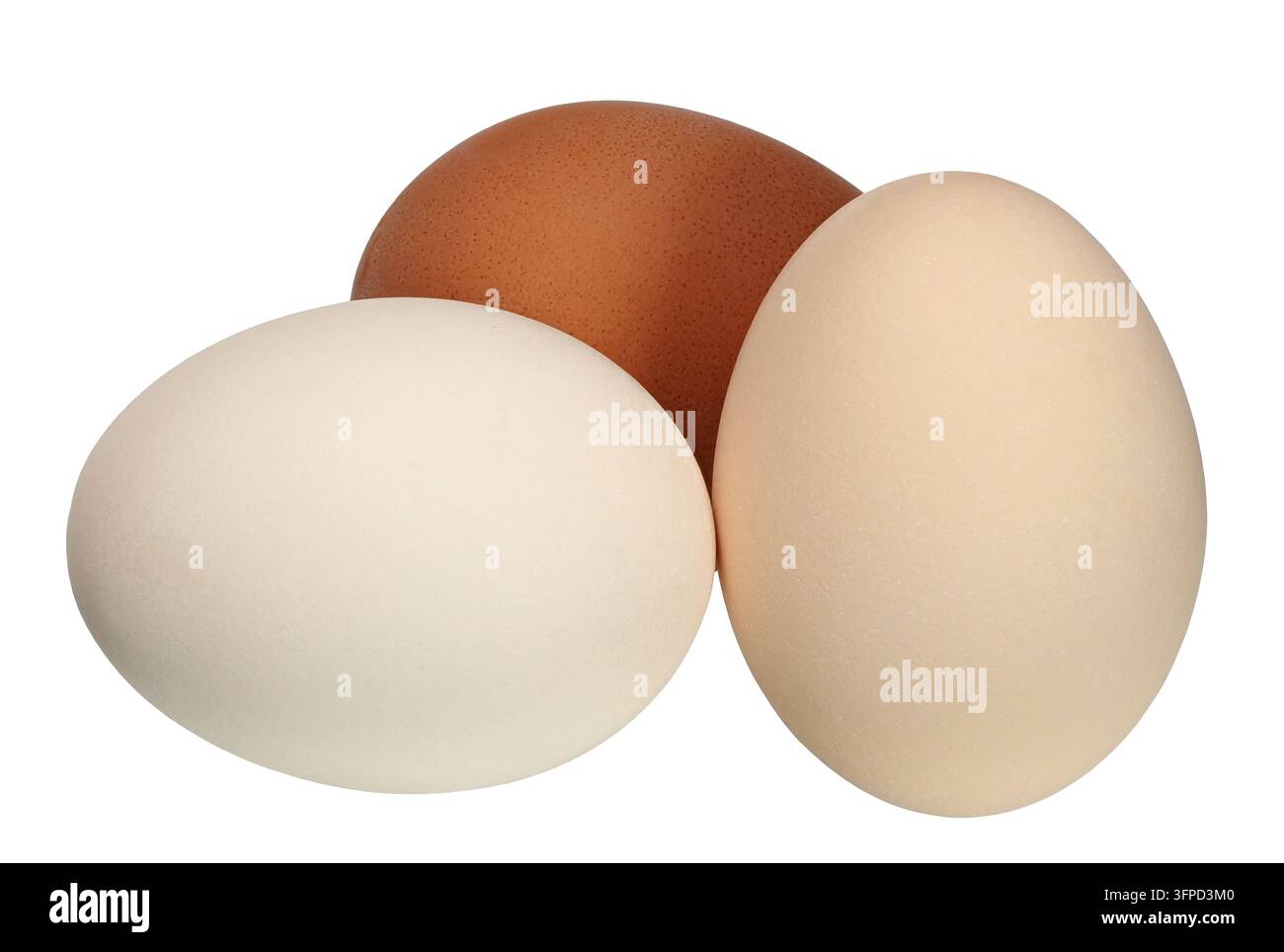 Three  chicken eggs isolated on white background Stock Photo