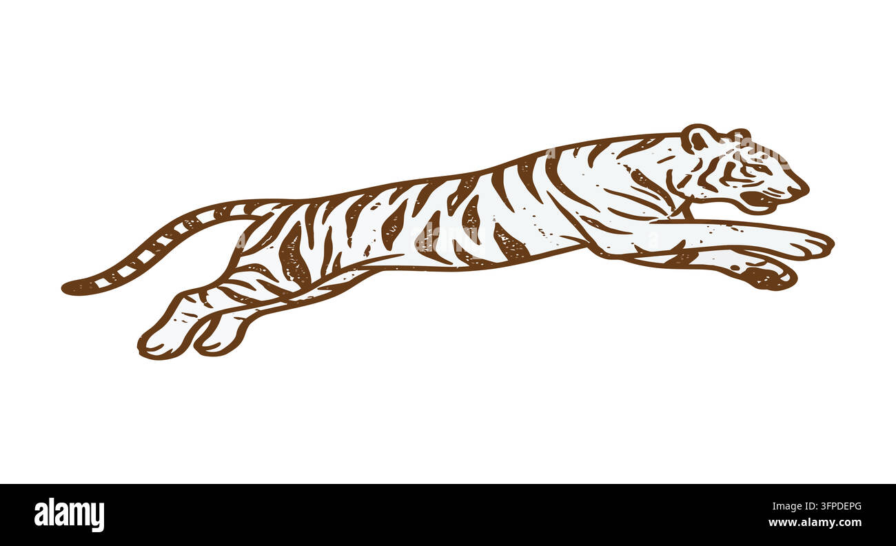 Graphic illustration of a jumping tiger in a sketch style with leaping tiger Stock Vector