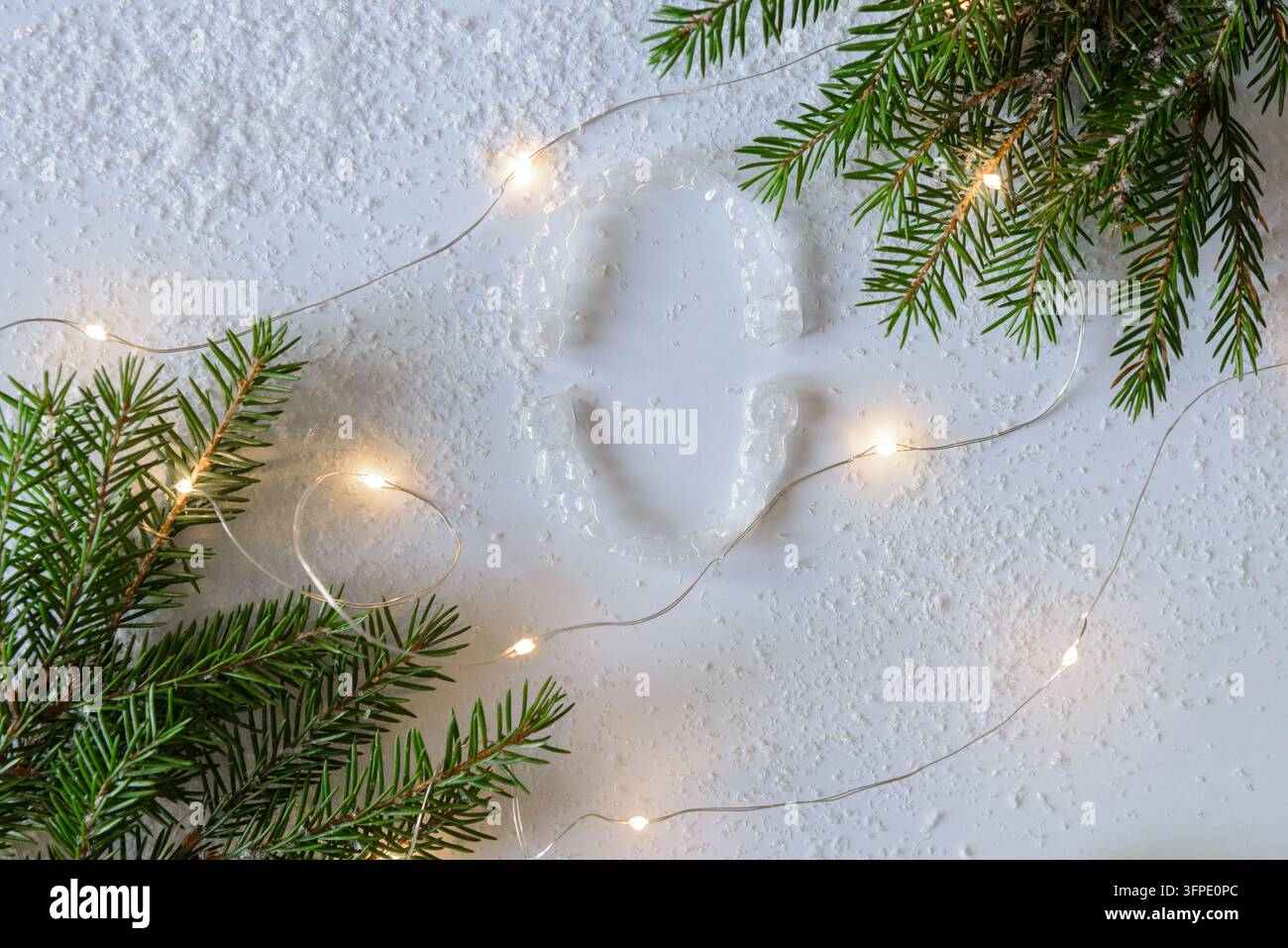 Clear Retyainers Two clear dental aligners arranged between fresh fir branches and ...