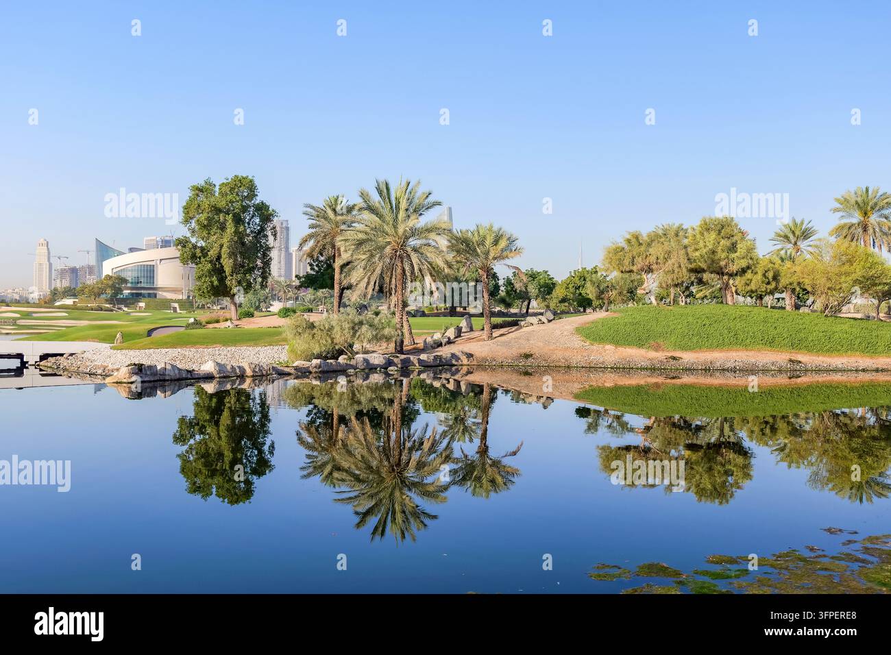 Water Tree Lush green urban landscape with trees, lawns and water against Dubai ...