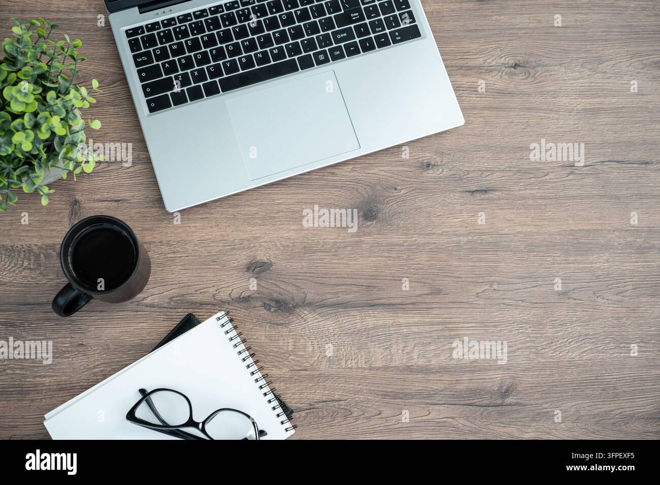 Laptop, coffee cup, blank notebook, eyeglasses and green plant frame a ...