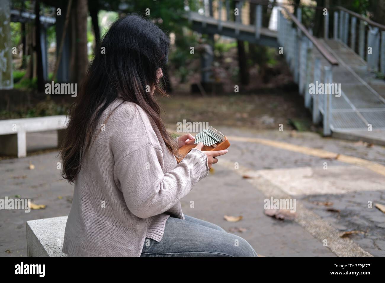 Asian Kitchen Asian woman plays a kalimba in a green park on a sunny day. The calm ...