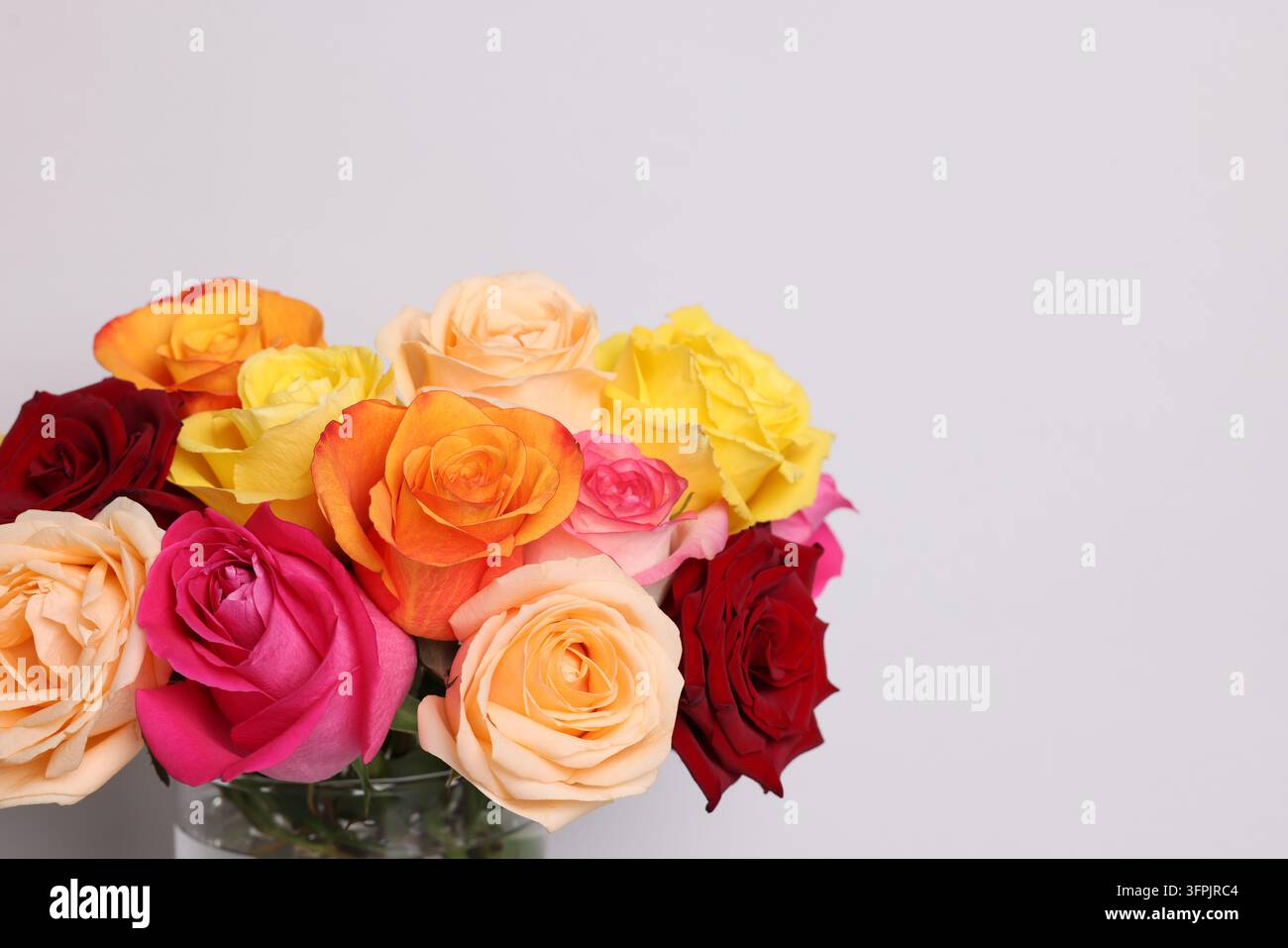 Bouquet of colorful roses in vase on light background, closeup. Space ...