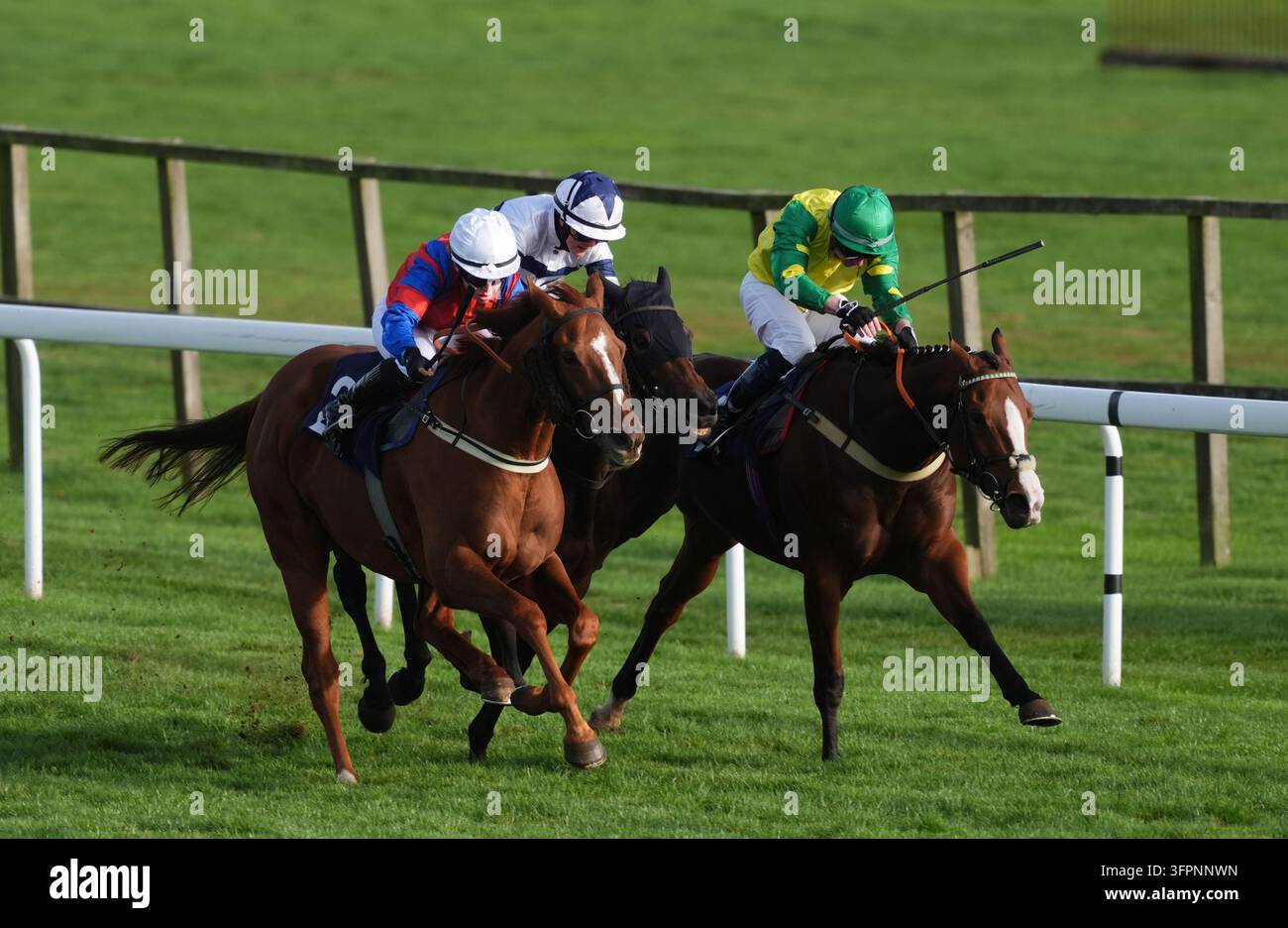 Albus Anne ridden by Olivia Haines on their way to winning the Find My ...