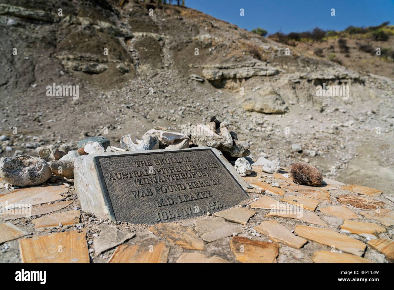 Site where Louis Leakey found a skull of Australopithecus boisei, Olduvai Gorge, Tanzania, Stock Photo