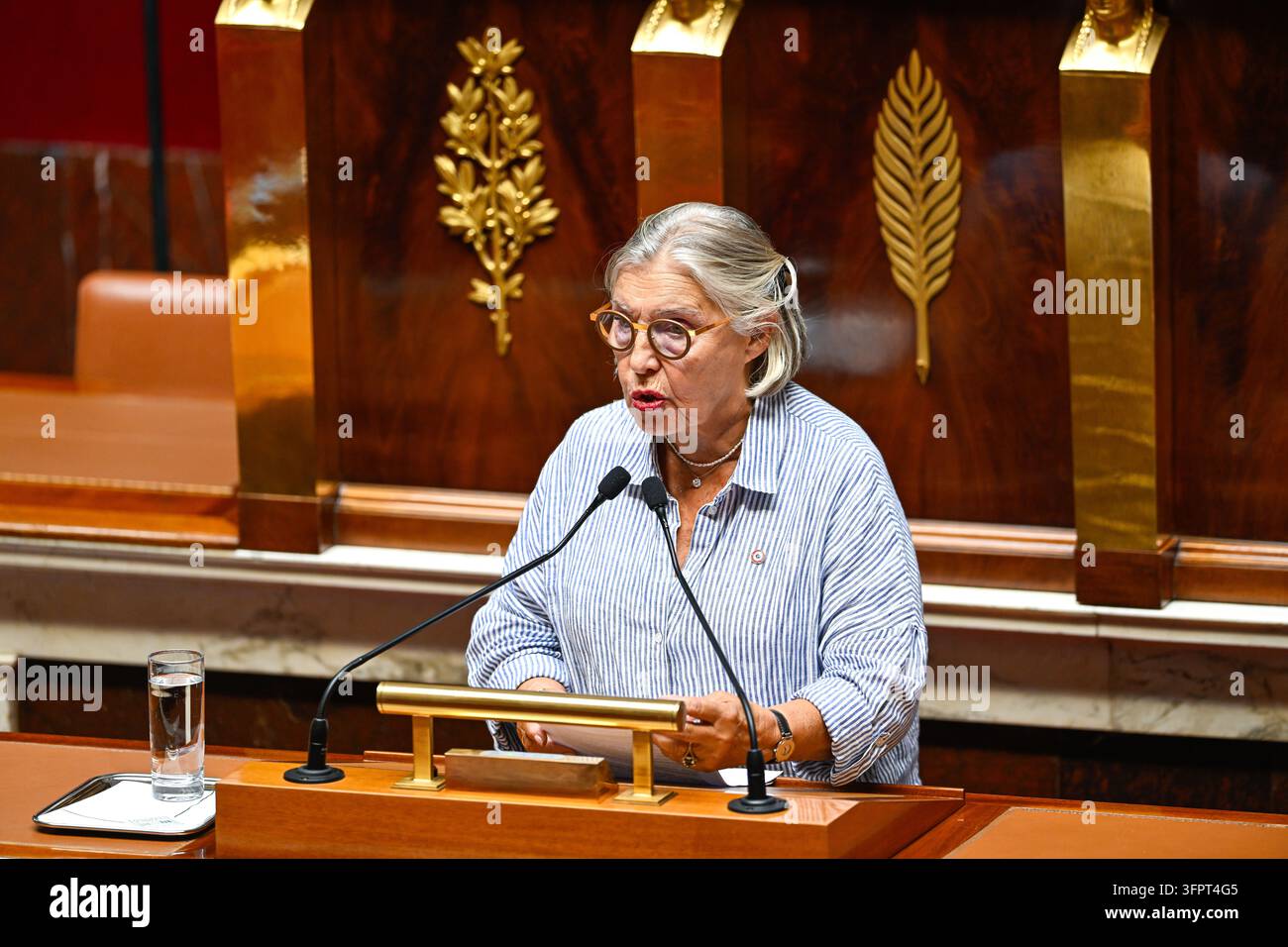 Nicole Dubre Chirat during a parliamentary session at the National ...