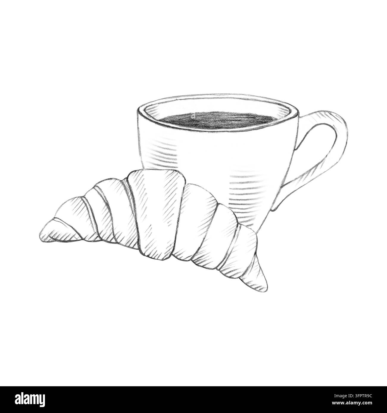 Coffee cup with French croissant. Hand drawn graphite pencil sketch ...