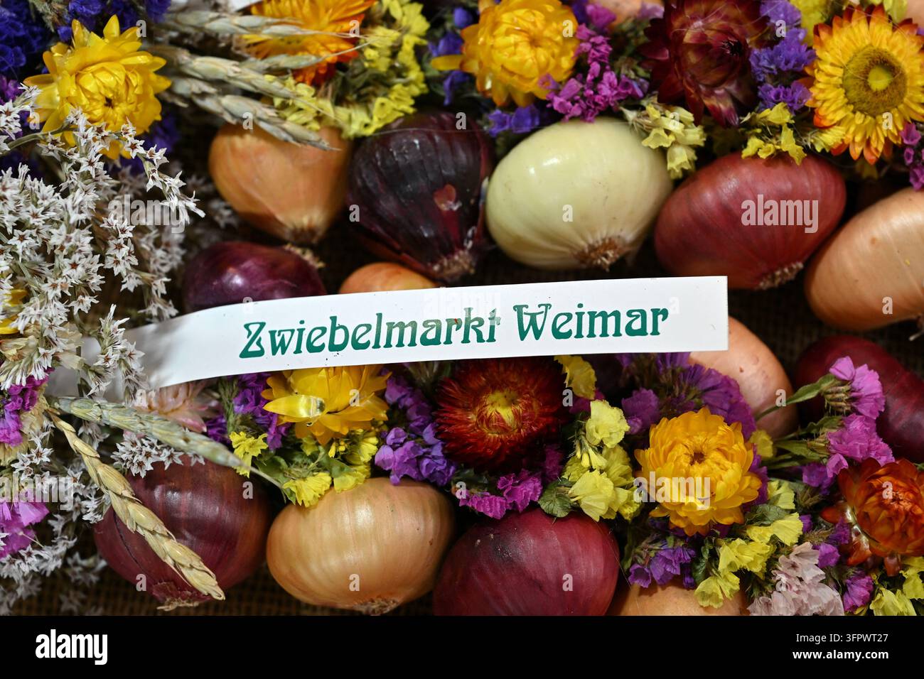 Corn Rows Stock Image 09 October 2026, Thuringia, Weimar: Onion braids are displayed at a ...