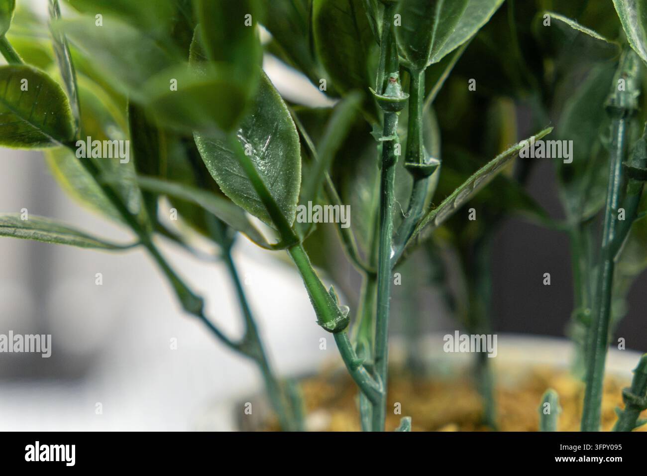 Close up macro view of a faux foliage arrangement in a container, adding refreshing organic style to contemporary living spaces through realistic text Stock Photo