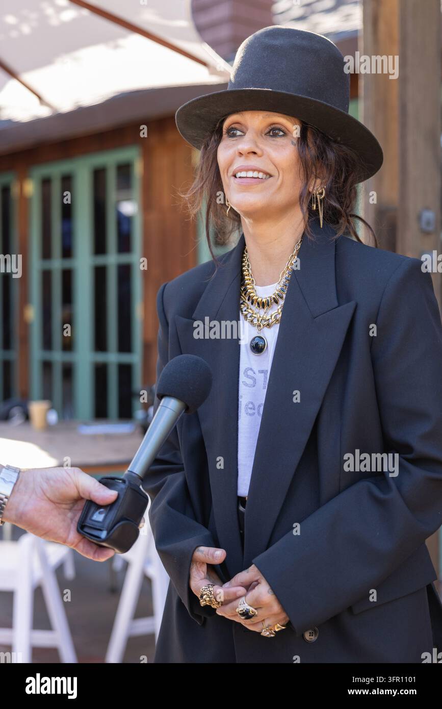 Linda Perry at a special tribute celebrating her extraordinary career ...