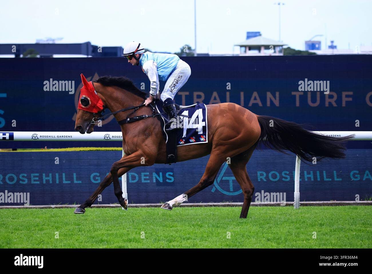 No Reece Day 10th October 2026; Rosehill Gardens Racecourse, Sydney, Australia; Hill ...