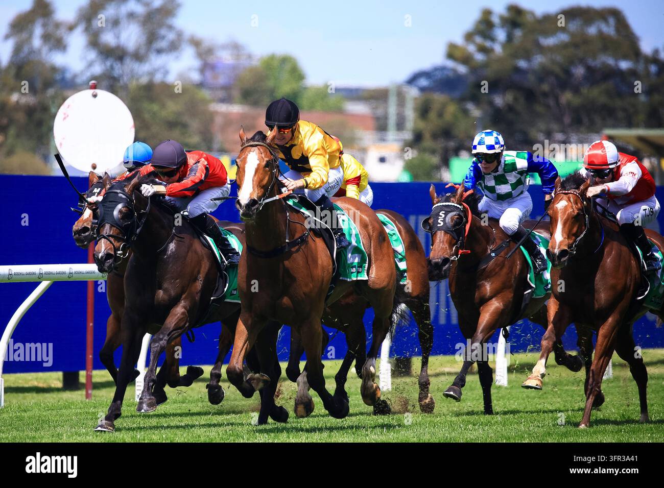 No Reece Day 10th October 2026; Rosehill Gardens Racecourse, Sydney, Australia; Hill ...
