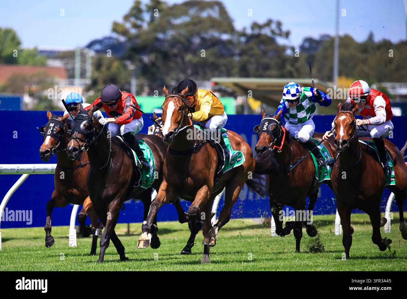 No Reece Day 10th October 2026; Rosehill Gardens Racecourse, Sydney, Australia; Hill ...