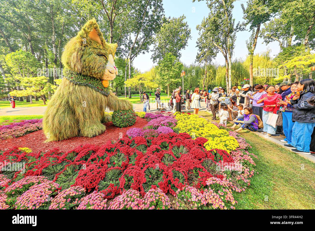 Chrysanthemums bloom in full splendor at Ritan Park in Beijing, China ...