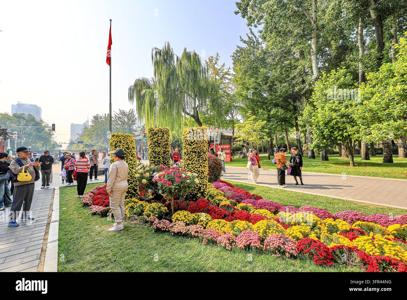 Chrysanthemums bloom in full splendor at Ritan Park in Beijing, China ...