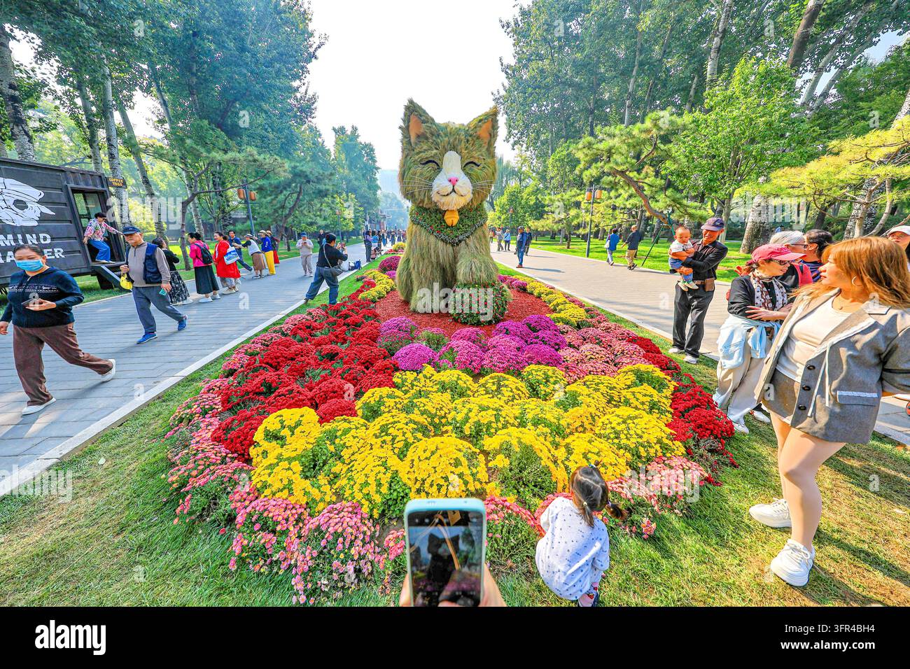 Chrysanthemums bloom in full splendor at Ritan Park in Beijing, China ...