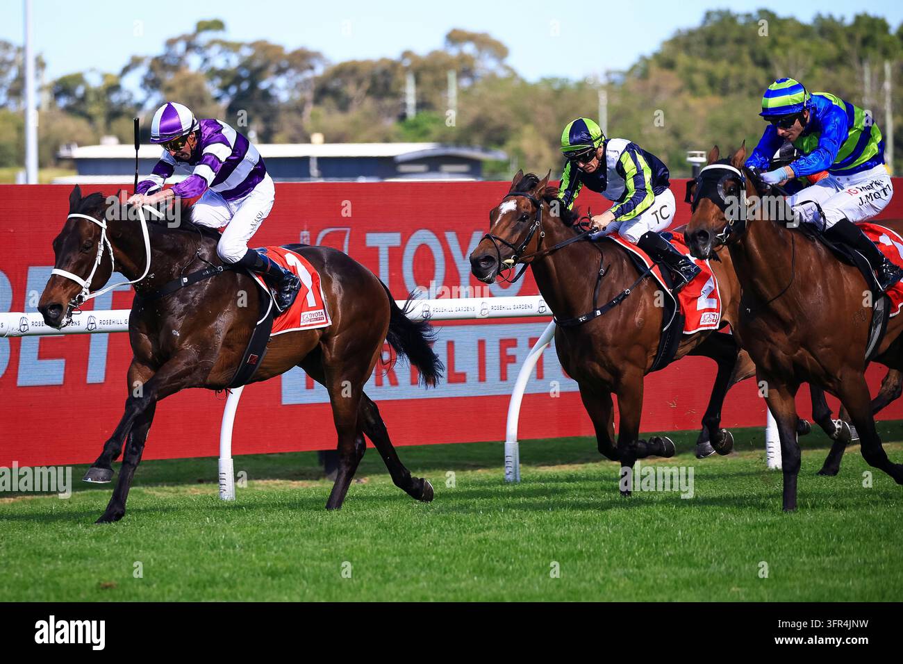 10th October 2026; Rosehill Gardens Racecourse, Sydney, Australia; Hill ...