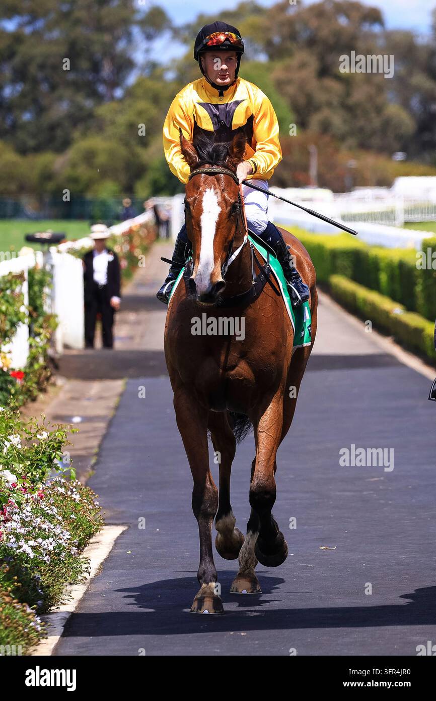 No Reece Day 10th October 2026; Rosehill Gardens Racecourse, Sydney, Australia; Hill ...