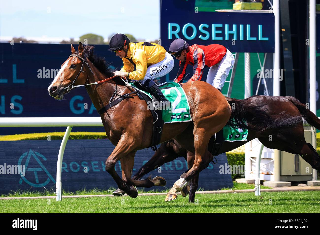 No Reece Day 10th October 2026; Rosehill Gardens Racecourse, Sydney, Australia; Hill ...